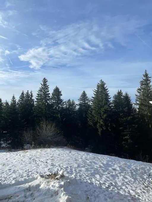 Chamrousse A 50M Des Pistes Appart 4/6 Francie
